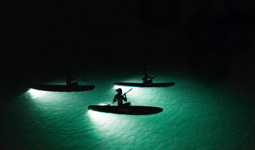 GLoFin® - World's Brightest Paddle Board Light